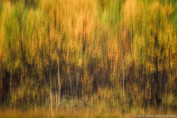 shutter speed exercises