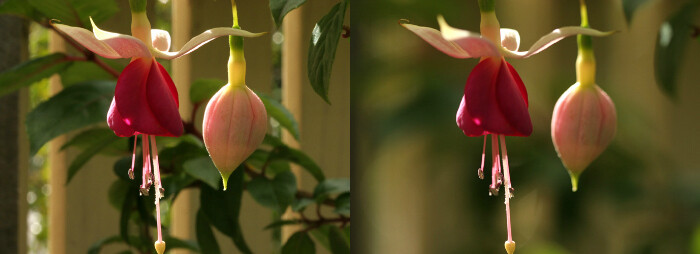 Side by side aperture depth of field example