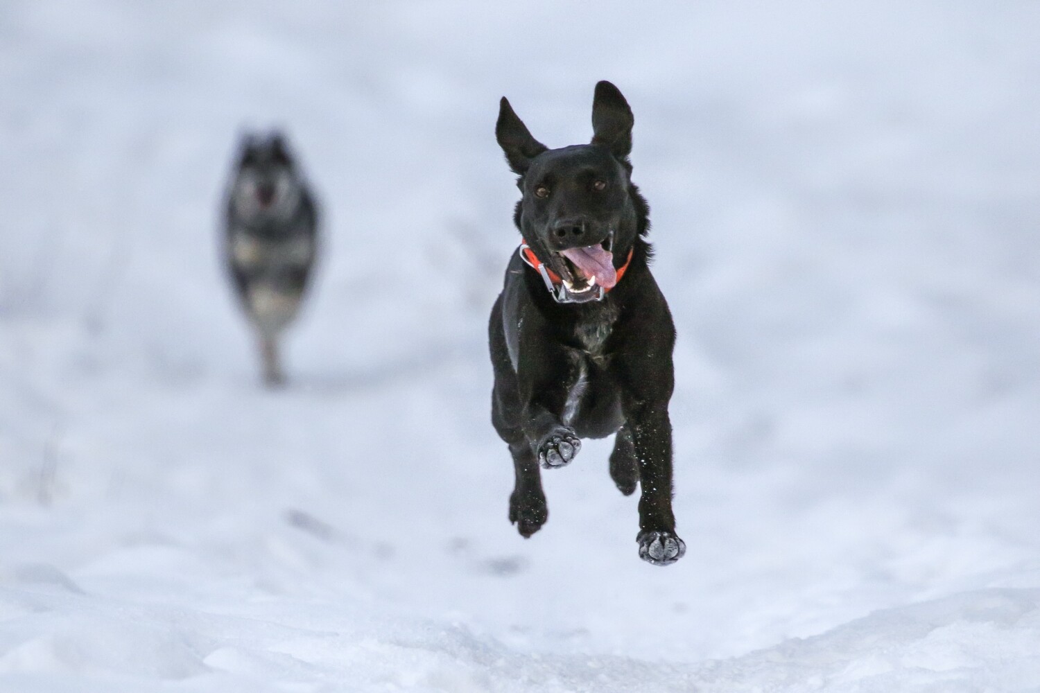 Burst mode photography