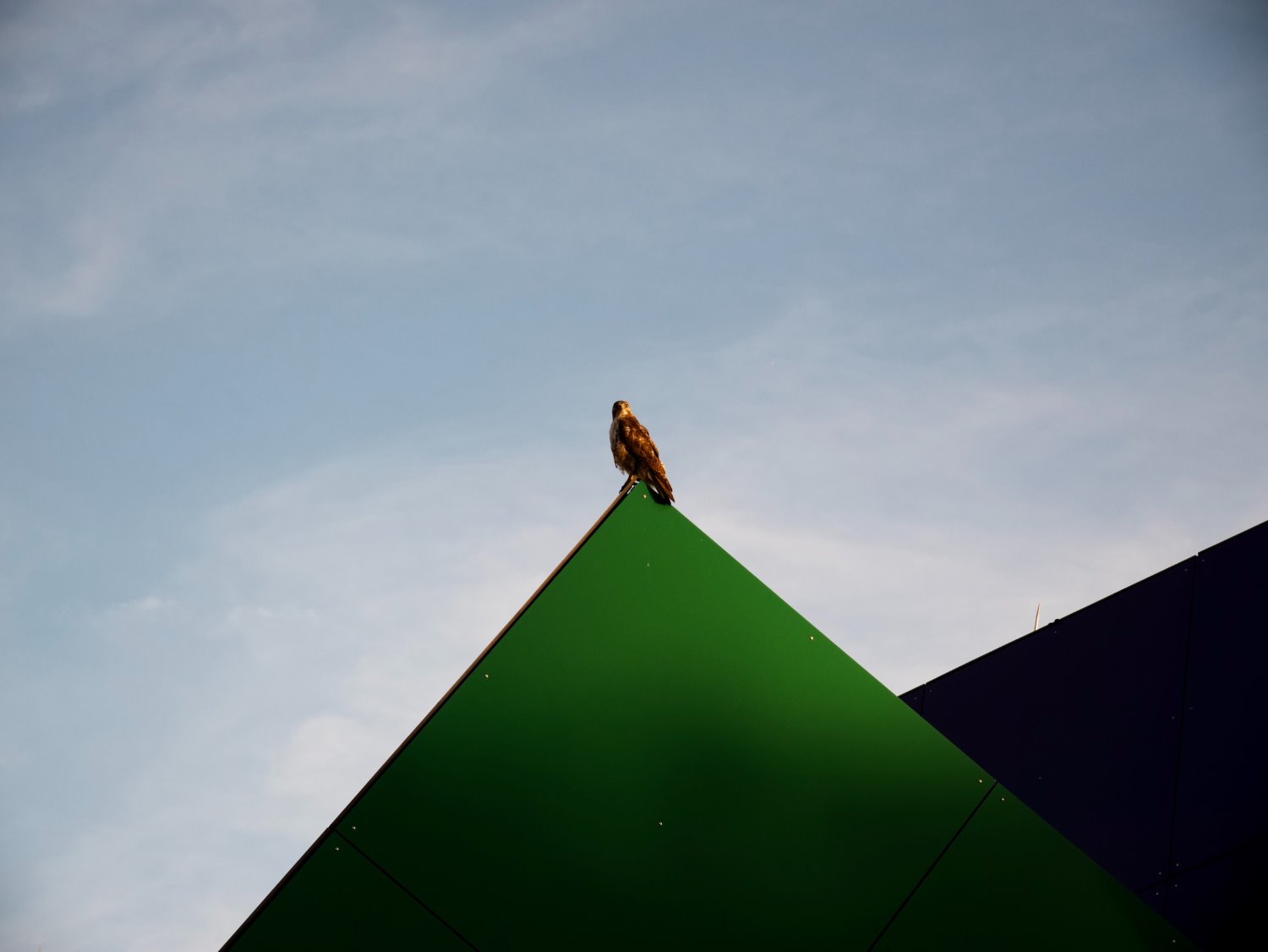 Composition rules in photography