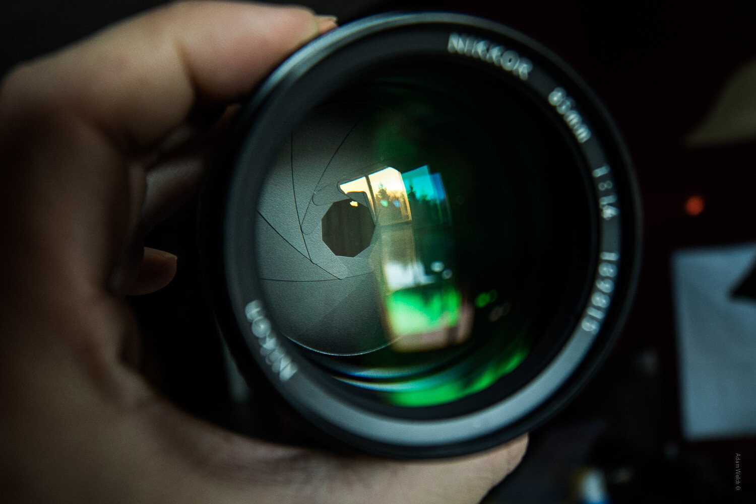 shutter-speed-and-motion-beginner-tutorial