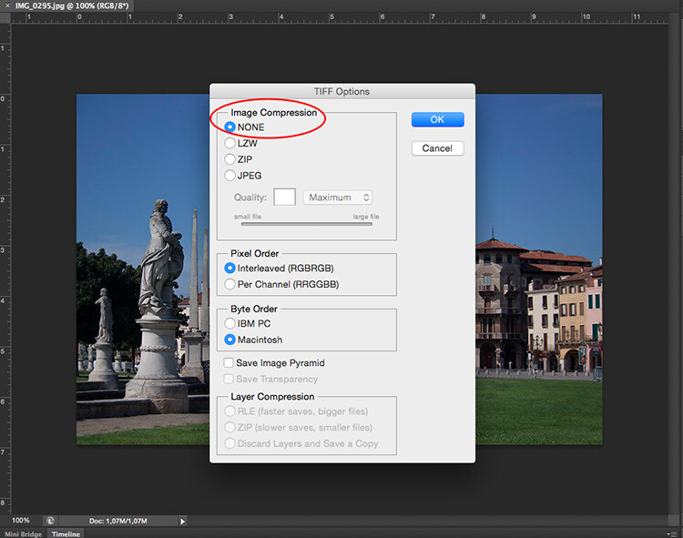 tiff.jpg Tiff - How to Understand Pixels, Resolution, and Resize Your in Photoshop Correctly