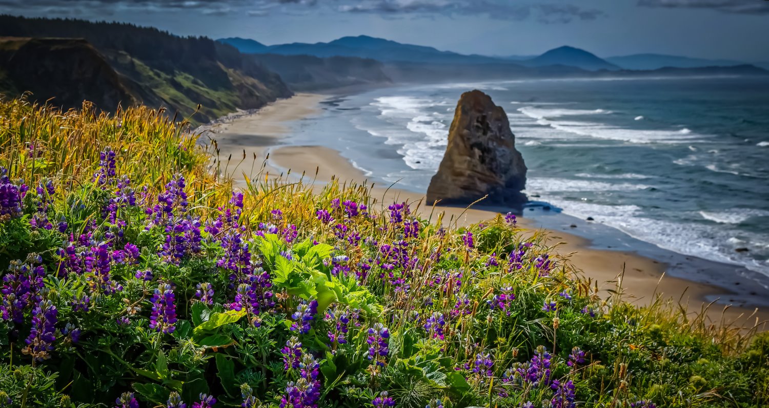 landscape photography tips beach 
