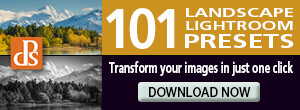 landscape_preset_300x110