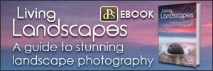 Landscapes_300x100px.jpg
