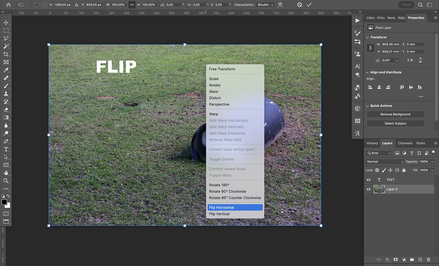 How to mirror an image in Photoshop