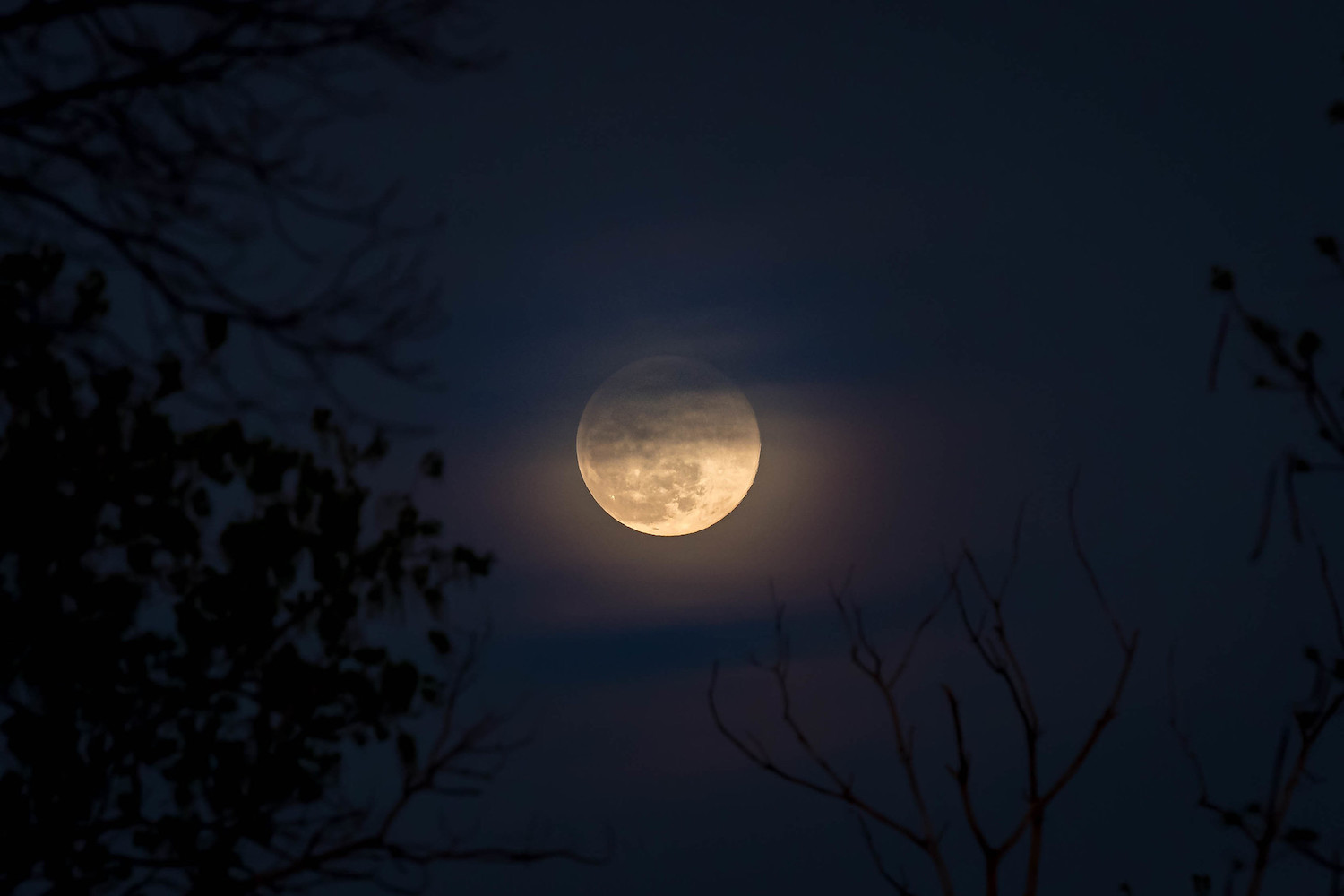 moon editing tips