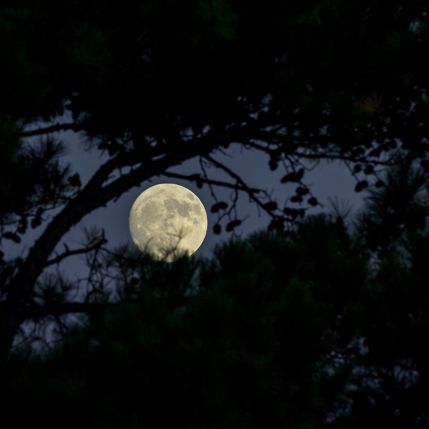 moon editing tips