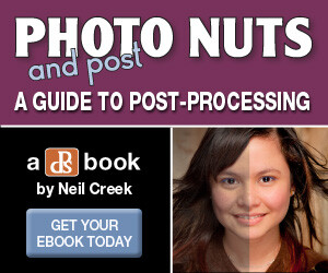 Nutspost 300x250