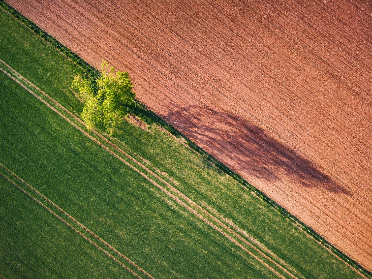 Composition rules in photography