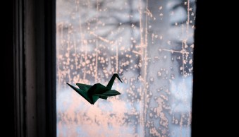 Photography Ideas: 100+ Things to Photograph in 2025