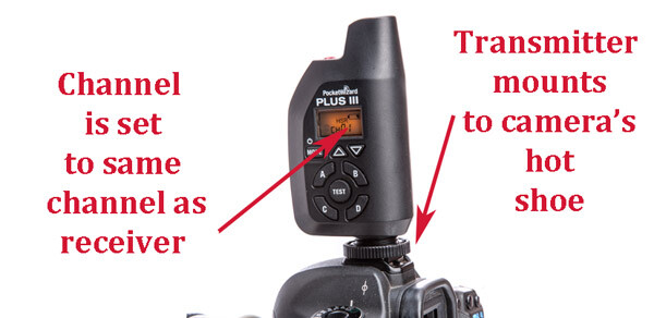 PocketWizard+camera-1.jpg flash remote in action