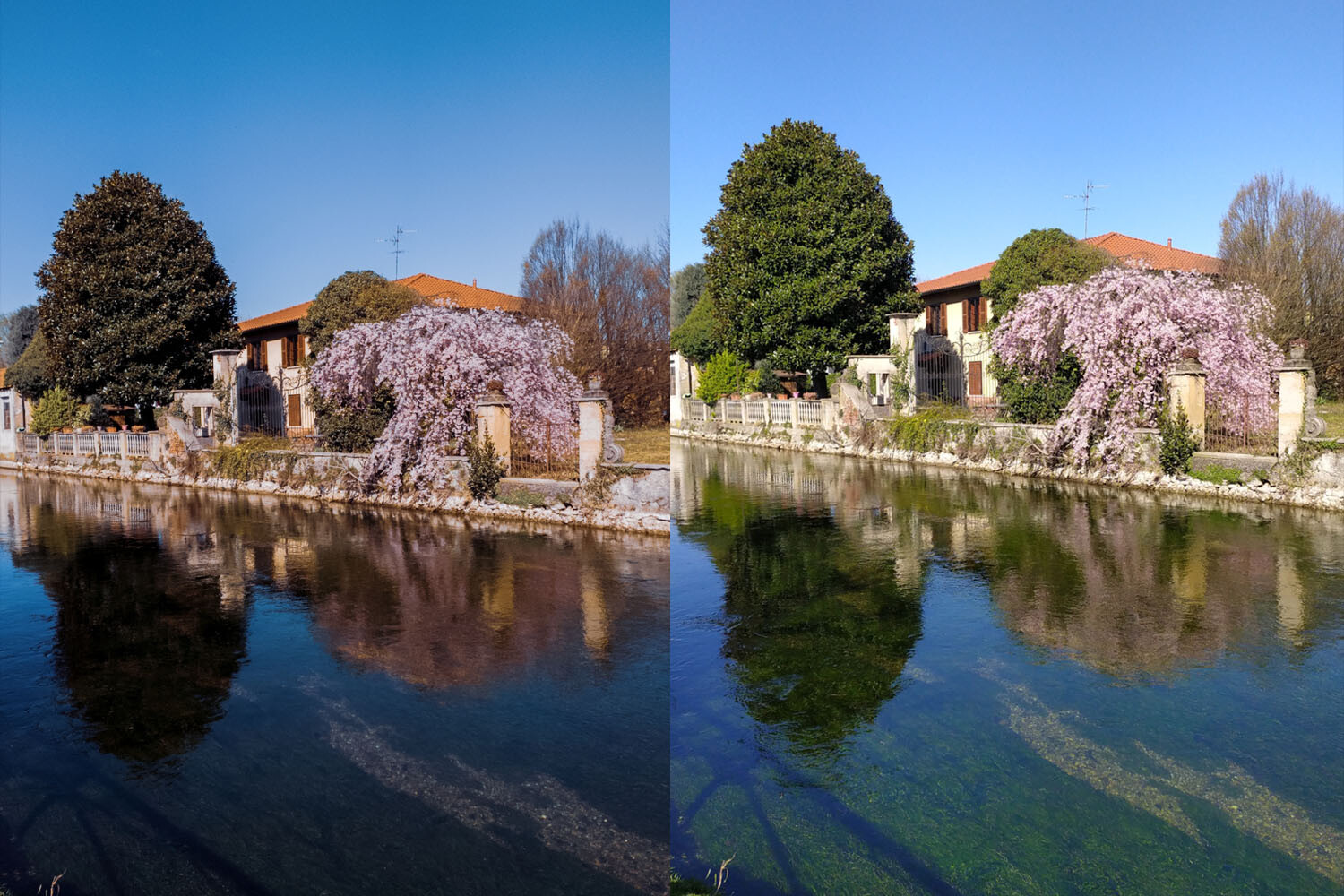 smartphone RAW photography in Lightroom Mobile