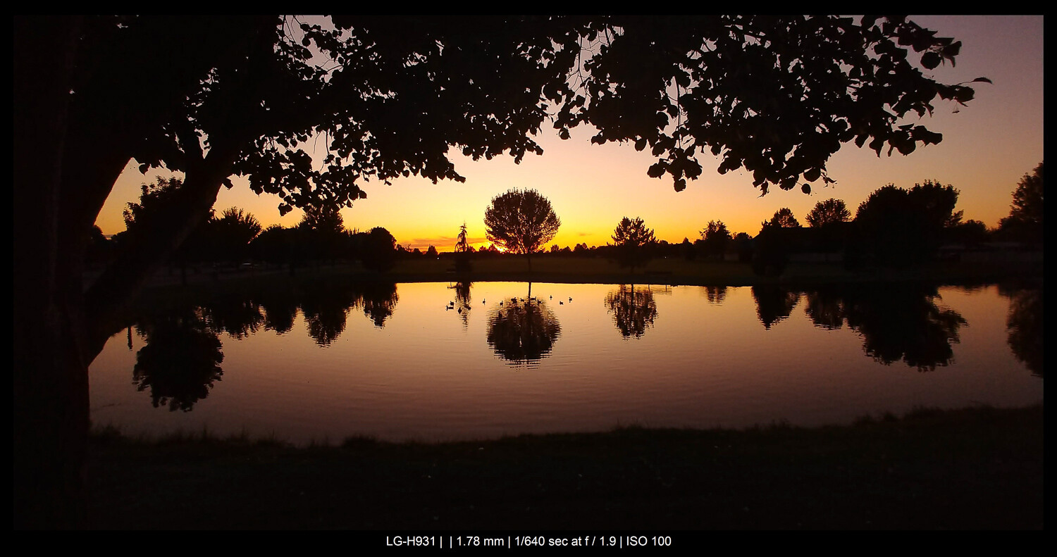 sunset at a park