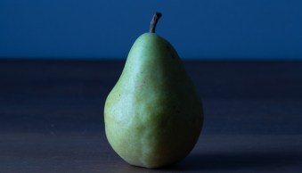 White Balance in Photography: The Essential Guide