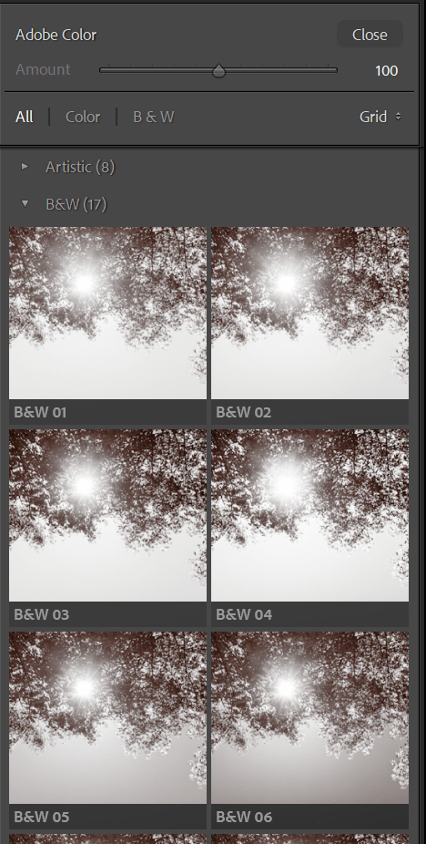 Color profiles in Lightroom