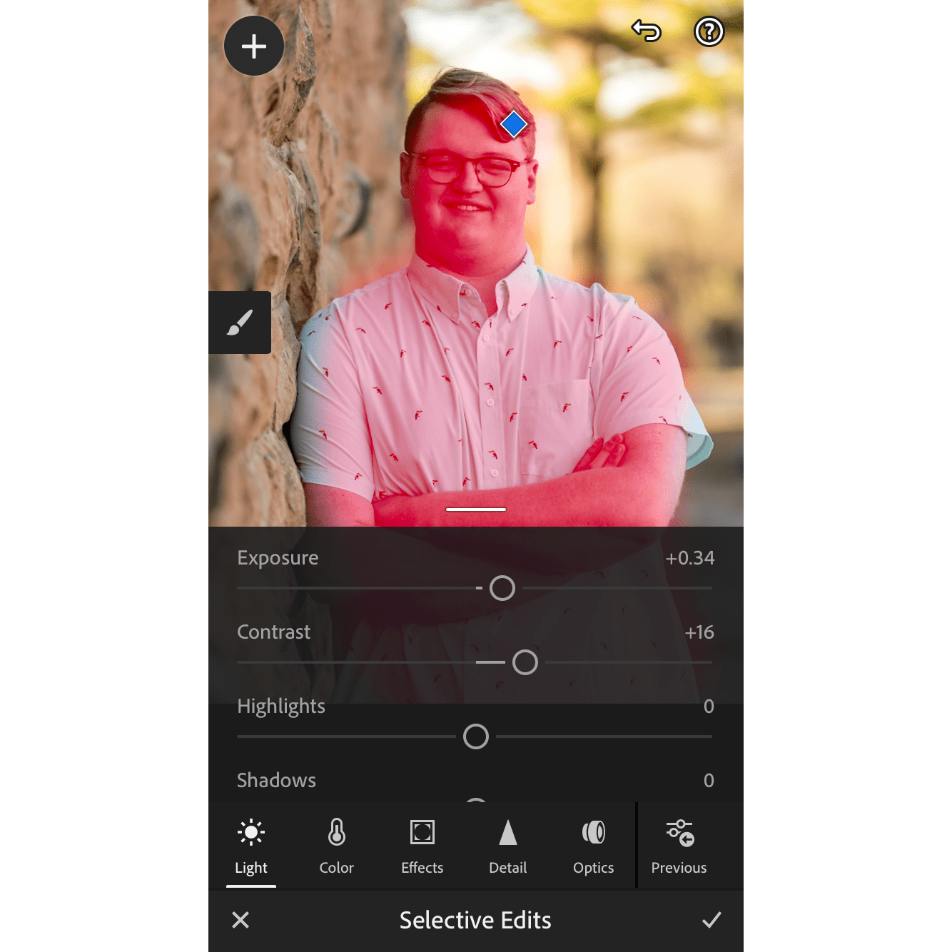 Editing with Lightroom Mobile screenshot portrait orientation