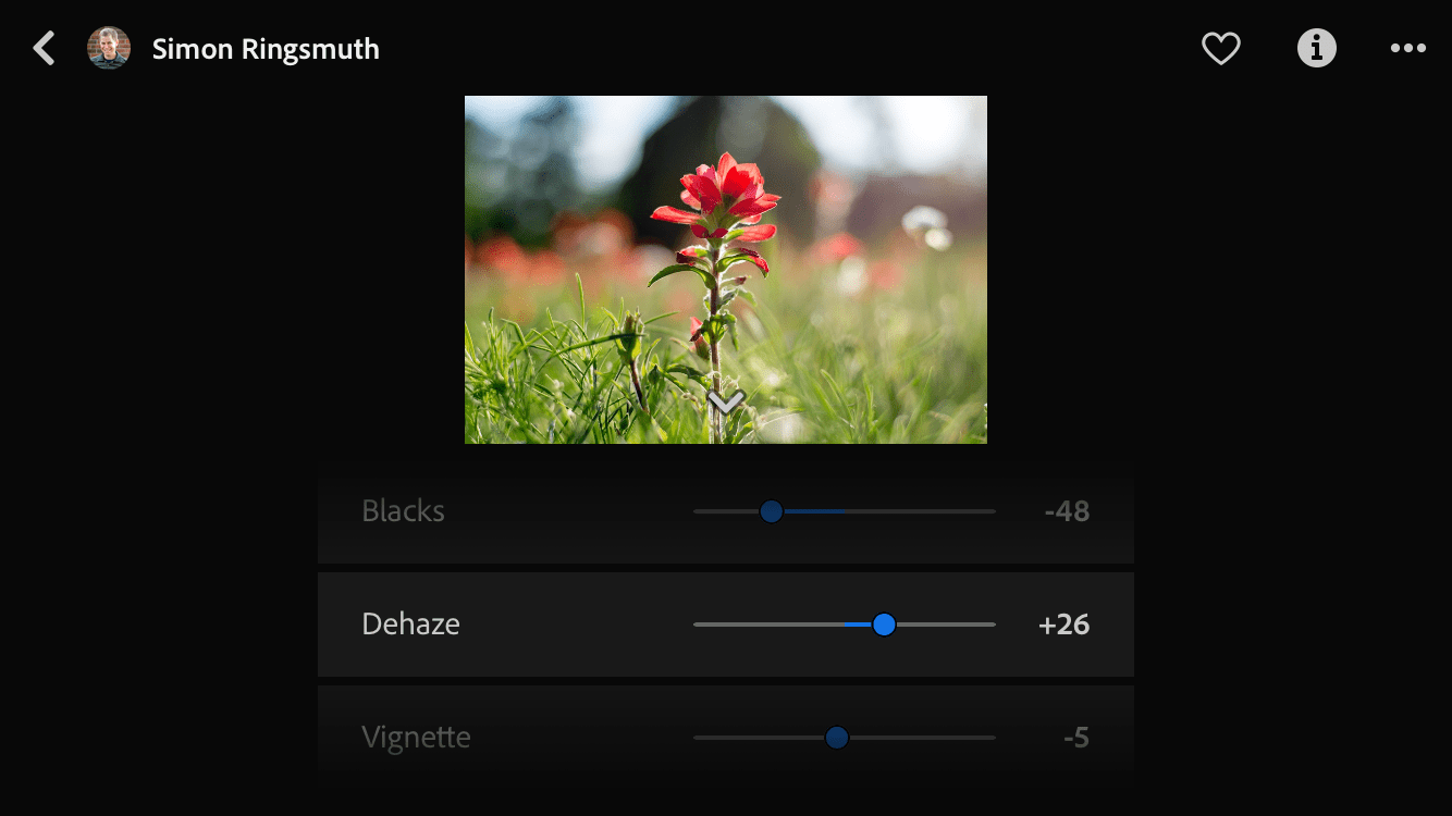 Lightroom Mobile Share Your Edit Discover Feature
