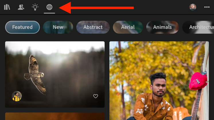 Lightroom Mobile Share Your Edit Feature