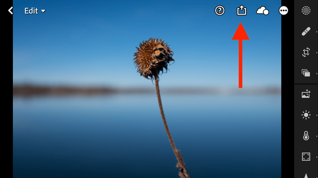 Lightroom Mobile Discover Feature