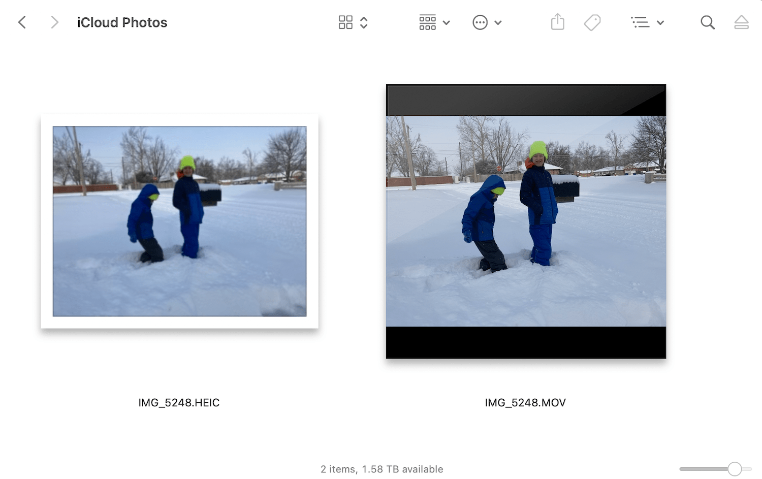Live Photo separated into HEIC and MOV files